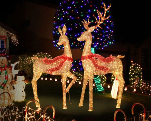 Reindeer Christmas Light Outdoor Yard Village Sets Decorations - Image 3