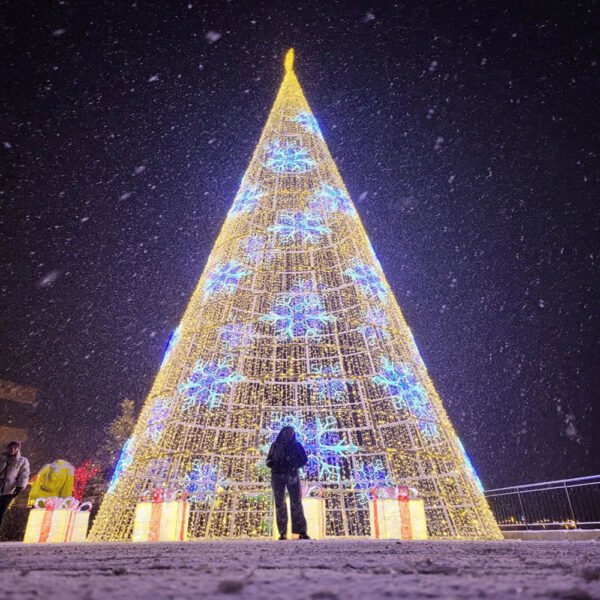 3D Outdoor Christmas Tree Lighted Decorative Christmas Decorations - Image 6