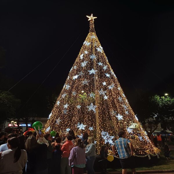 3D Outdoor Christmas Tree Lighted Decorative Christmas Decorations - Image 3