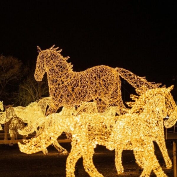 3D Led Lighted Decorative Animals Sculpture Horse Motif String Light Christmas Decoration - Image 7